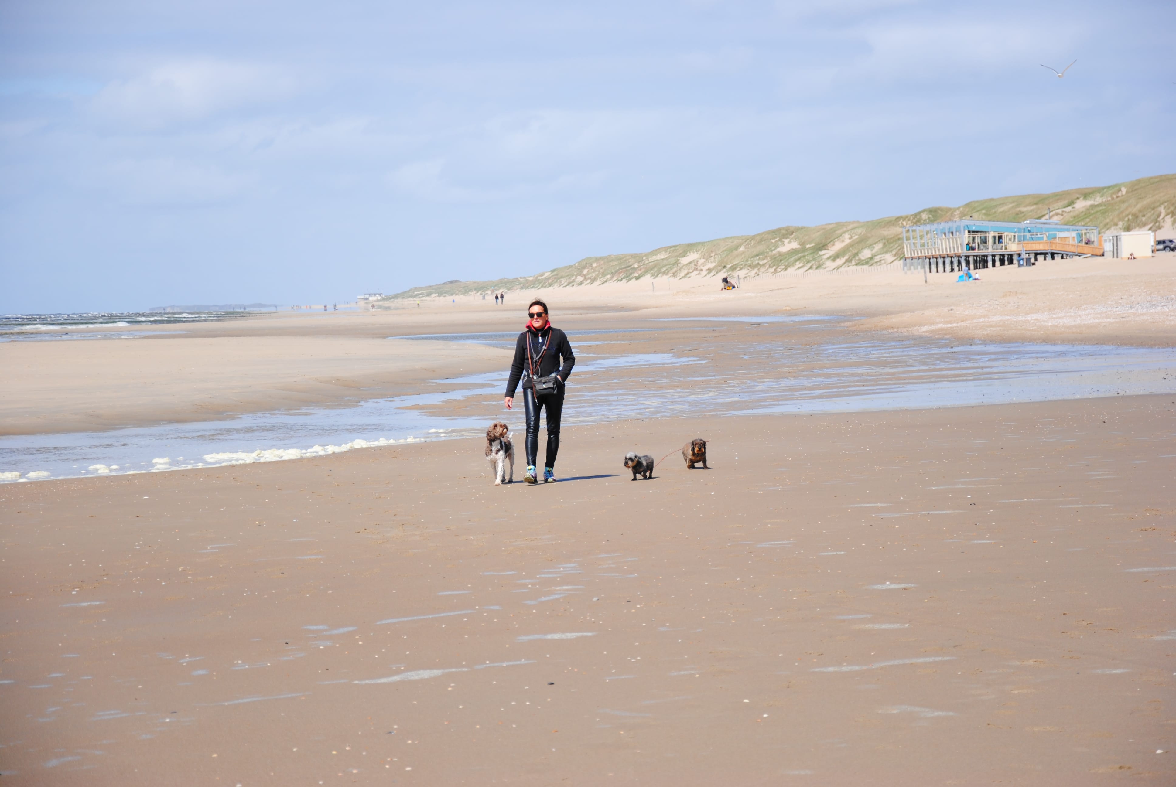 Frau mit drei Hunden am Strand