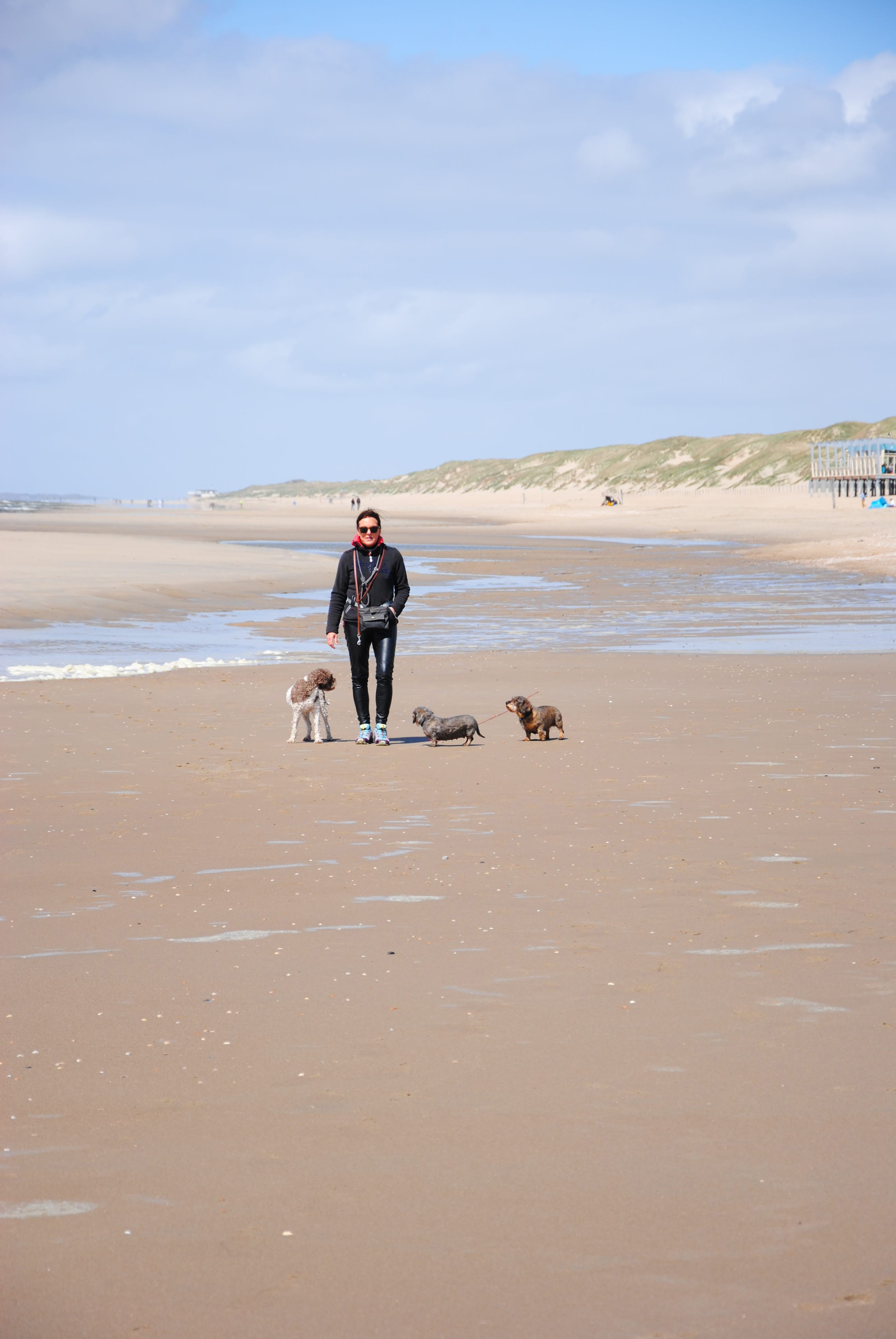 Frauchen mit drei Hunden am Strand
